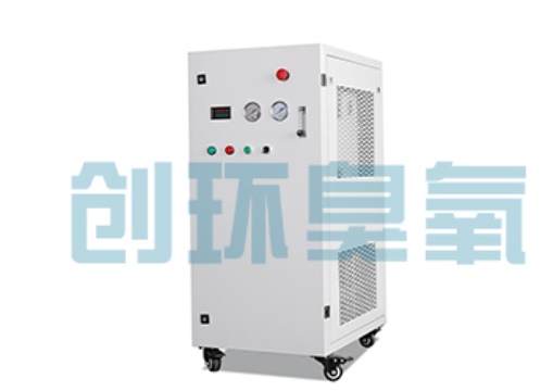 仙桃石斑鱼养殖水质调控完整指南:臭氧发生器配置与操作步骤