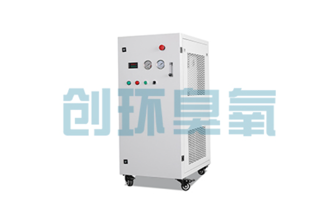 仙桃比传统换水更高效?臭氧发生器在石斑鱼养殖中的水质净化原理解析