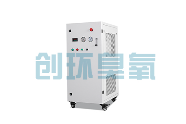 仙桃比传统换水更高效?臭氧发生器在石斑鱼养殖中的水质净化原理解析